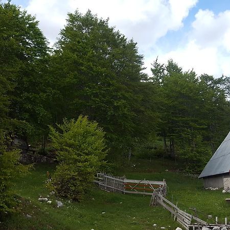 Hawkeye Villa Zabljak  Ngoại thất bức ảnh